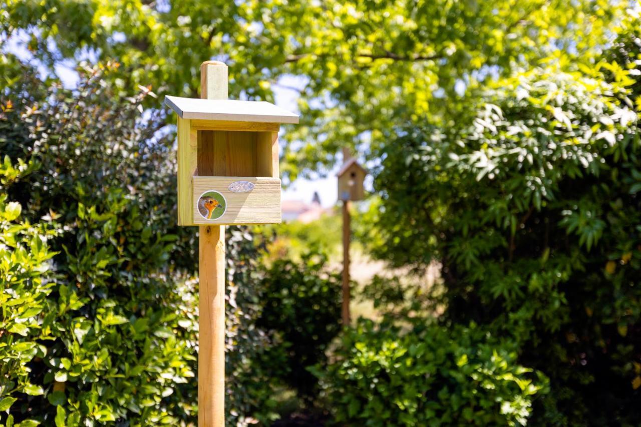 Greet Angoulême - Nouvelle Marque écoresponsable Accor, Engagé Rse, Produits Locaux, Terrain De Pétanque, Terrasse, Dog Friendly 2* Saint-Yrieix-sur-Charente